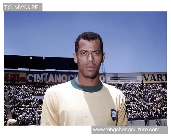 中国足球球星黑榜排名揭秘 盘点那些争议与负面新闻频发的球员