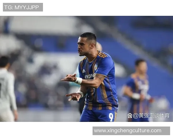 聚焦lm现役足球球星全面解析其赛场表现与未来发展趋势